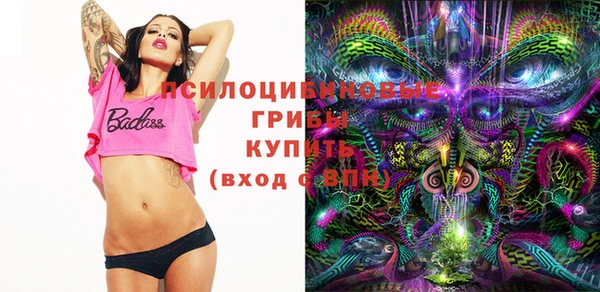 стаф Покачи