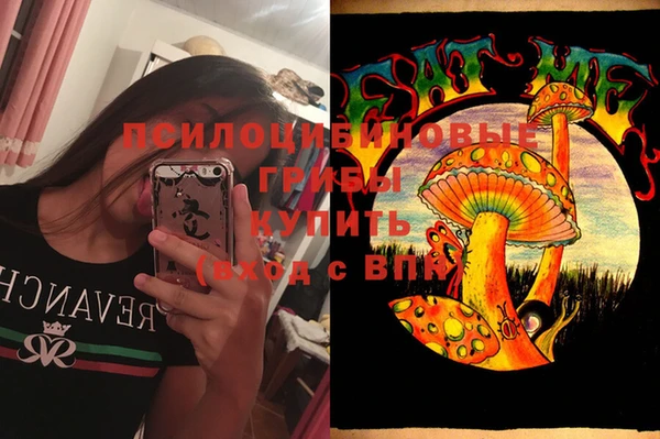 стаф Покачи