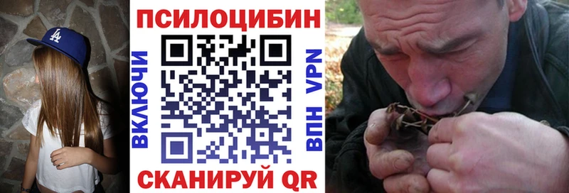 Псилоцибиновые грибы GOLDEN TEACHER  Купить  Шумерля 