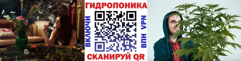 Бошки Шишки планчик  Купить где  Шумерля 